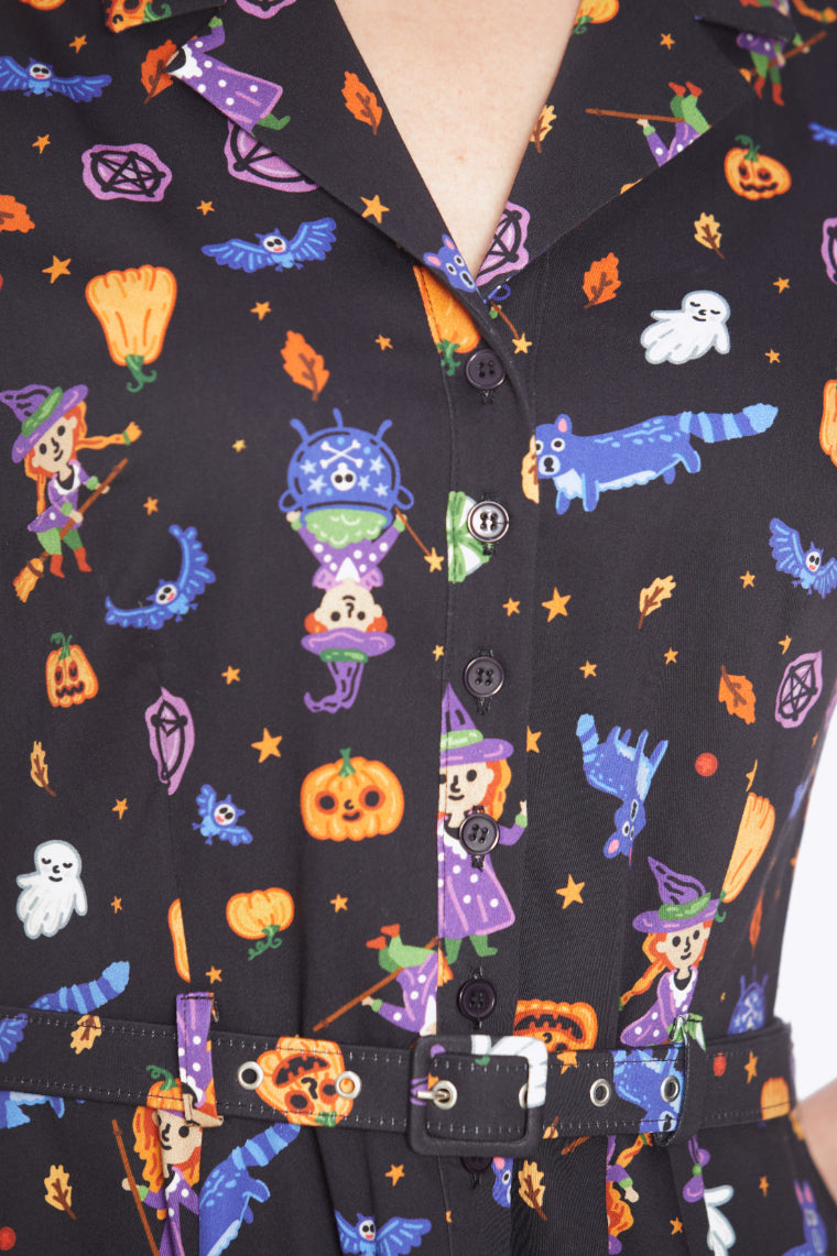 Caterina Autumn Alchemy Swing Dress